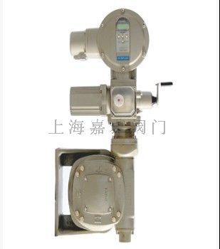 電動(dòng)執(zhí)行機(jī)構(gòu)